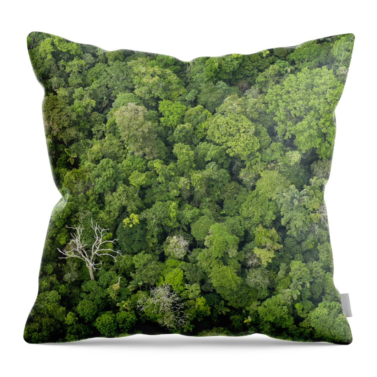 Feb0514 Throw Pillow featuring the photograph Rainforest Canopy Yasuni Ecuador #1 by Pete Oxford