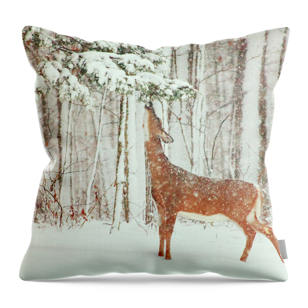 Deer.holidays Throw Pillow featuring the photograph Reach For It #2 by Karol Livote