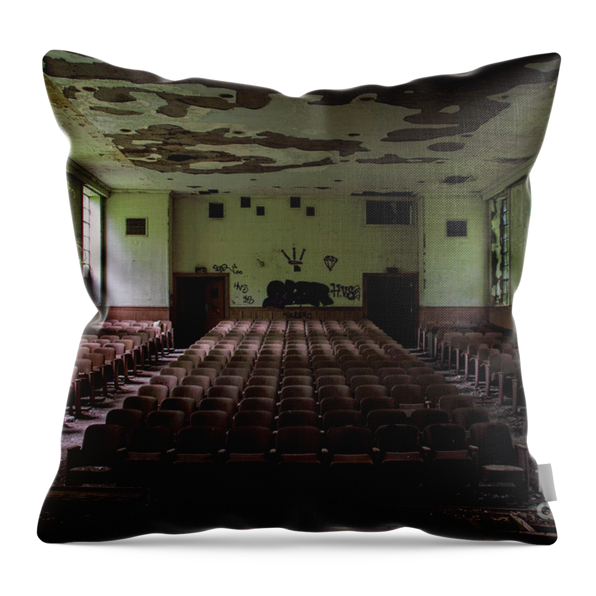 Bennett College Throw Pillow featuring the photograph Rear View #1 by Rick Kuperberg Sr