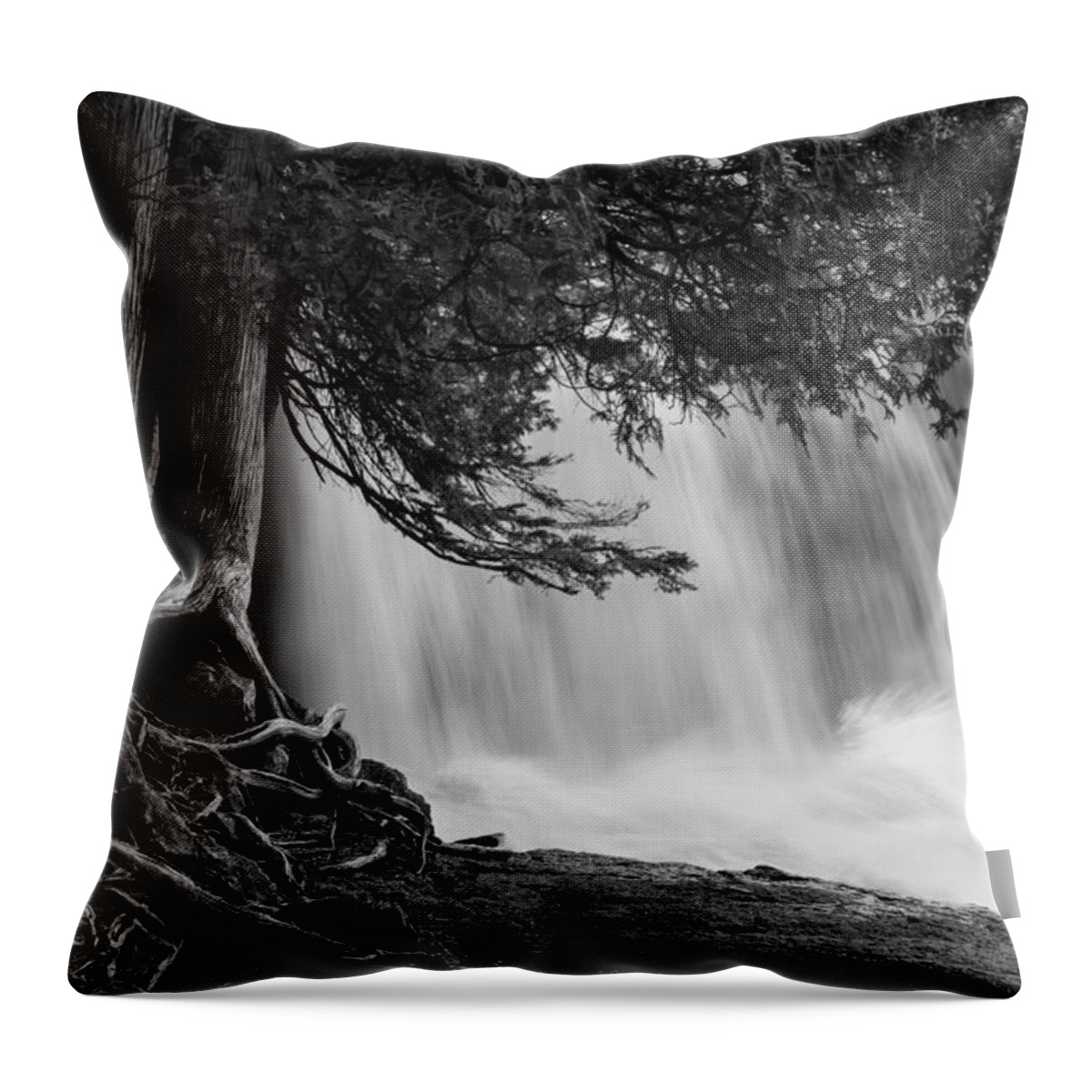 rooted In Spring cedar Trees Roots spring Melt gooseberry Falls Waterfall black And White lake Superior Power gooseberry Falls State Park minnesota Nature greeting Cards mary Amerman Throw Pillow featuring the photograph Rooted In Spring #2 by Mary Amerman