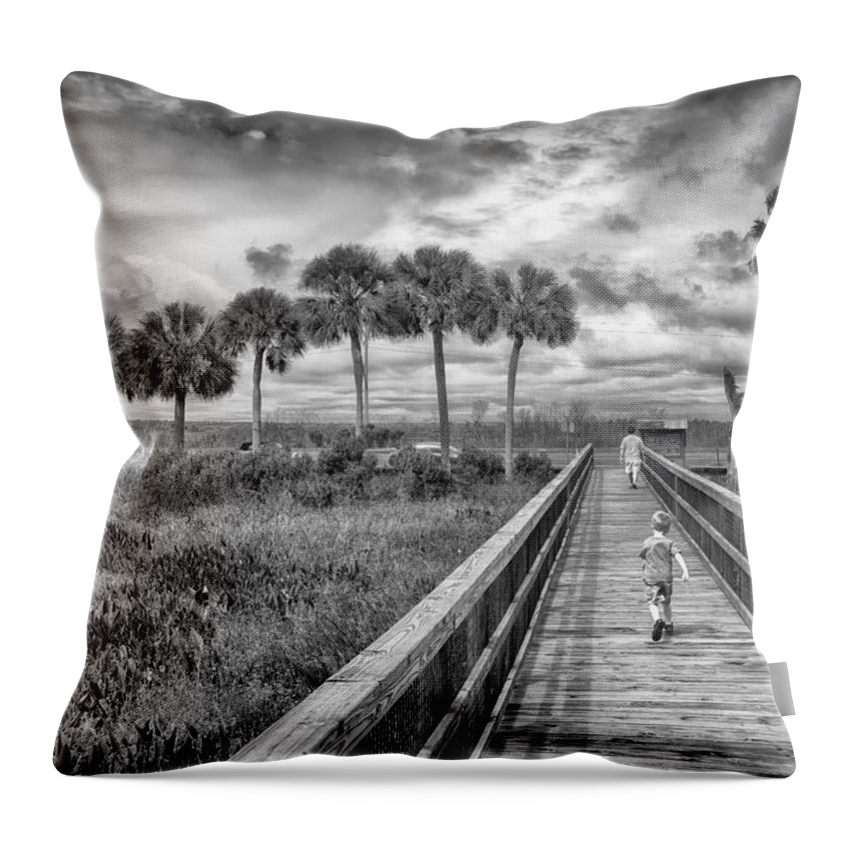 Hdr Throw Pillow featuring the photograph Running #2 by Howard Salmon