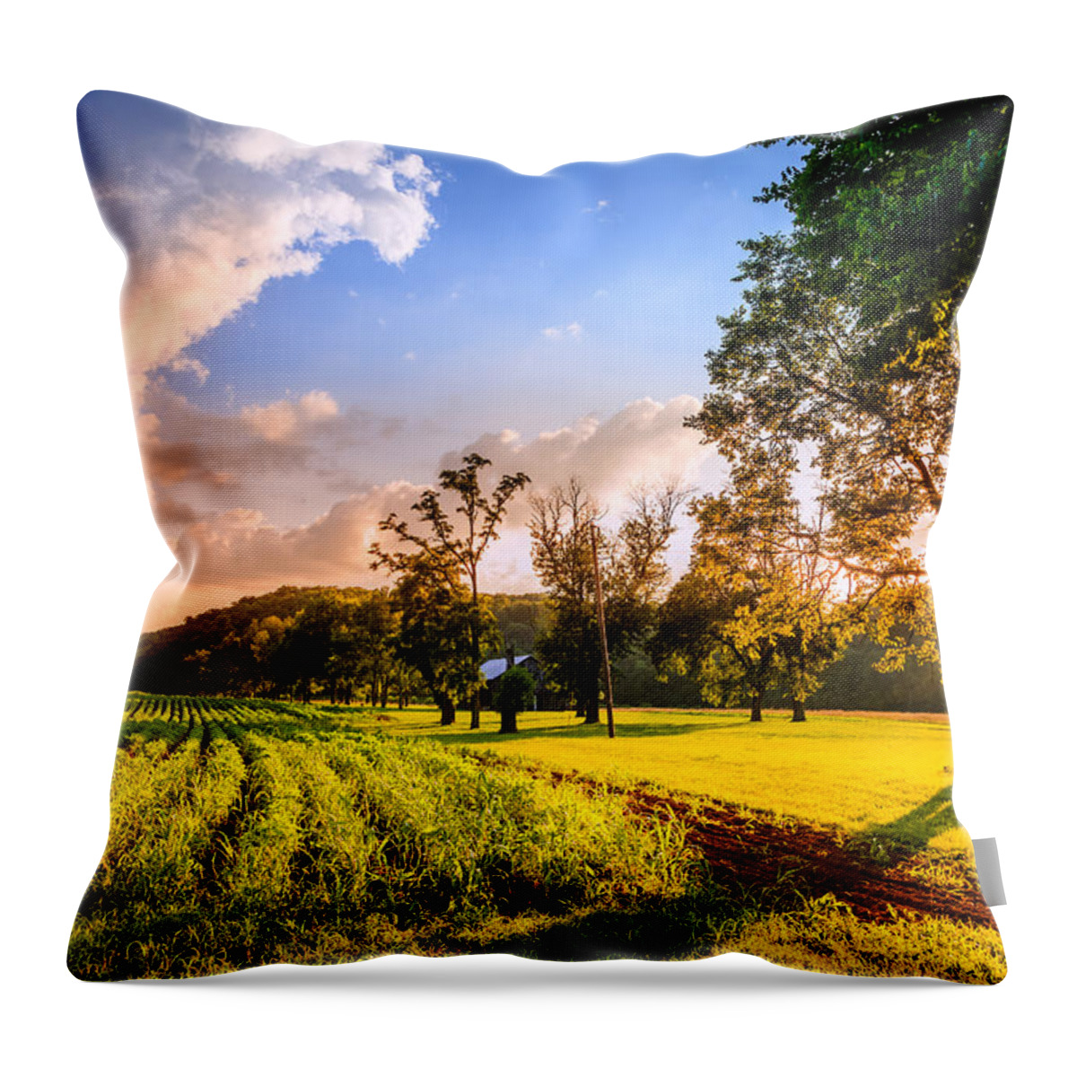 Kentucky Throw Pillow featuring the photograph Rural scene #1 by Alexey Stiop