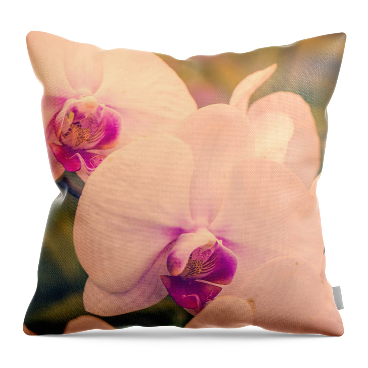 Flowers Throw Pillow featuring the photograph Serendipity #1 by Sara Frank
