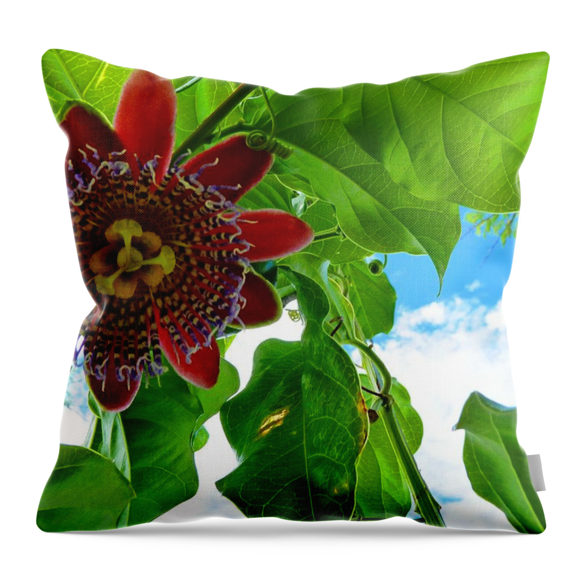 Serenity Throw Pillow featuring the photograph Serenity #1 by Julia Ivanovna Willhite