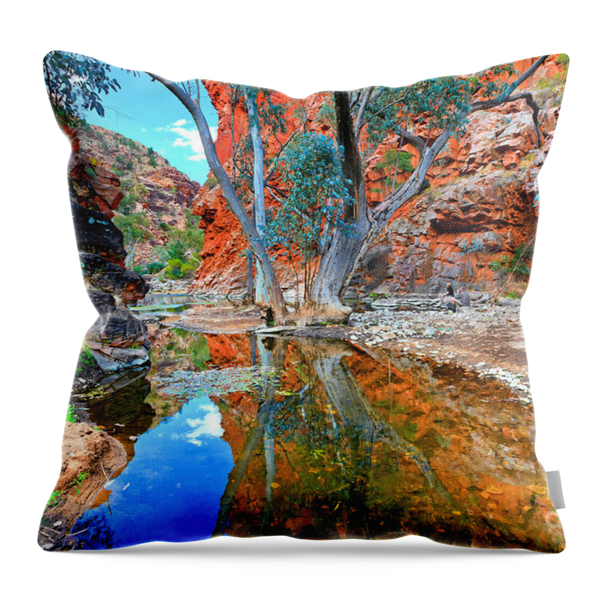 Serpentine Gorge Central Australia Northern Territory Outback Landscape Australian Gum Tree Water Hole Throw Pillow featuring the photograph Serpentine Gorge Central Australia #5 by Bill Robinson