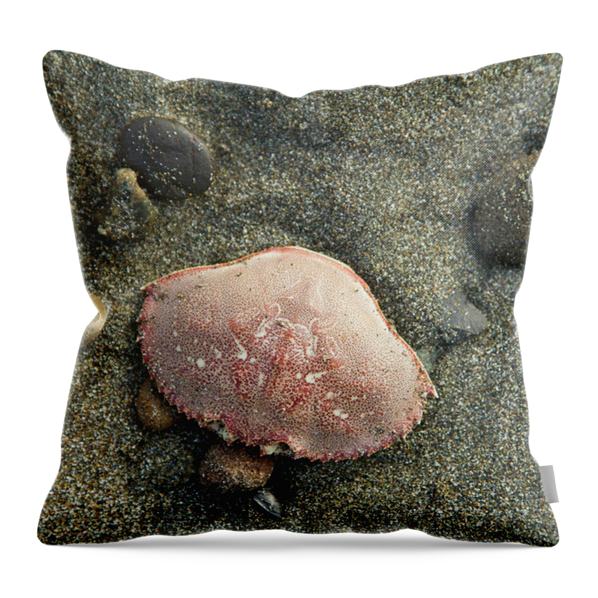 Animal Themes Throw Pillow featuring the photograph Shellfish On Pacific Northwest Coast #1 by Justin Bailie