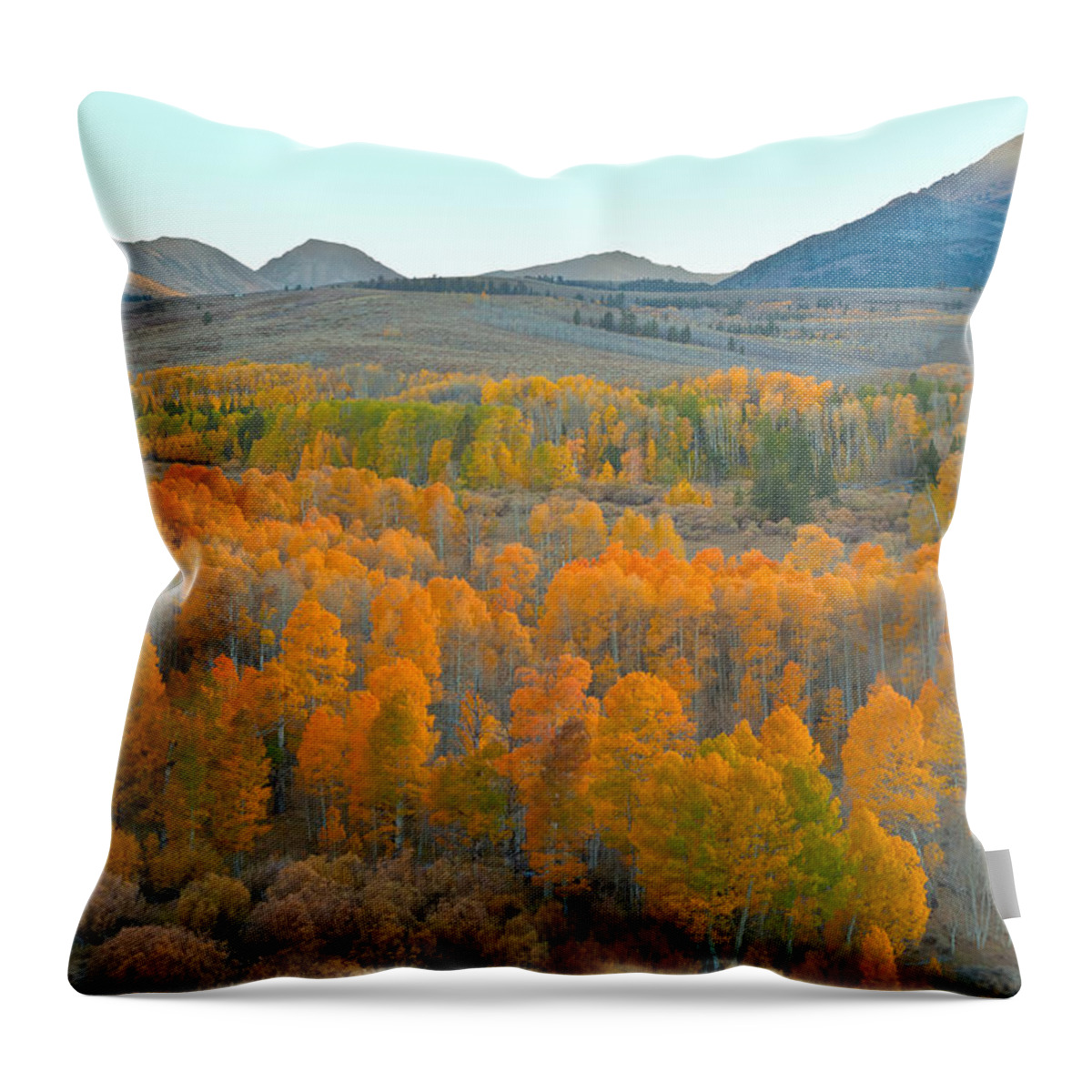 Fall Throw Pillow featuring the photograph Silence of the Fall #2 by Jonathan Nguyen