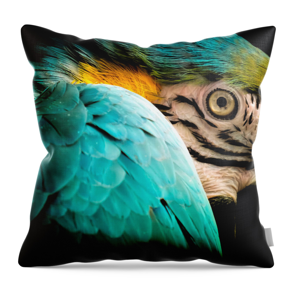 Macaws Throw Pillow featuring the photograph Sleeping Beauty by Karen Wiles