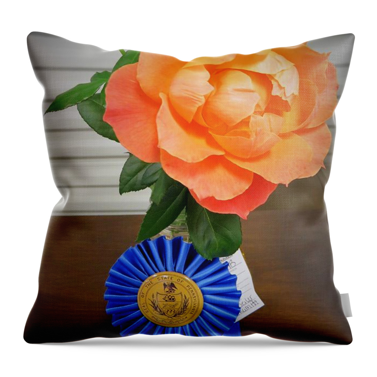 Flower Throw Pillow featuring the photograph Smiling Rose #1 by Jeanette Oberholtzer