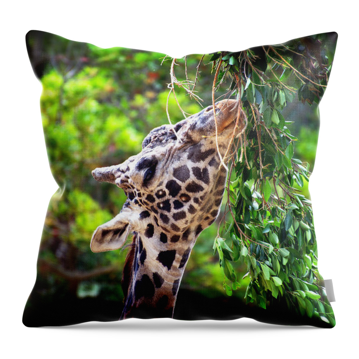 Snack Throw Pillow featuring the photograph Snack Attack #1 by Lynn Bauer