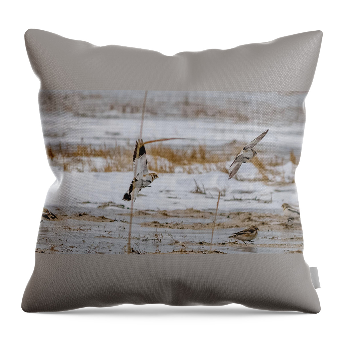 Calcariidae Throw Pillow featuring the photograph Snow bunting in flight #1 by SAURAVphoto Online Store