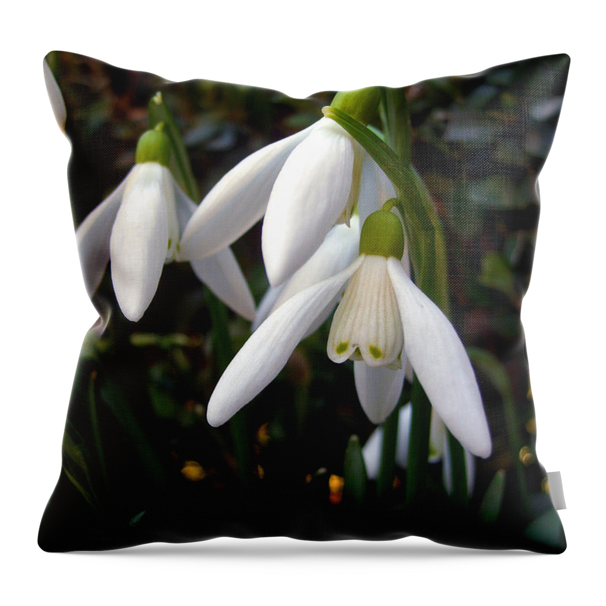 Snowdrops Throw Pillow featuring the photograph Snowdrops #2 by Nina Ficur Feenan