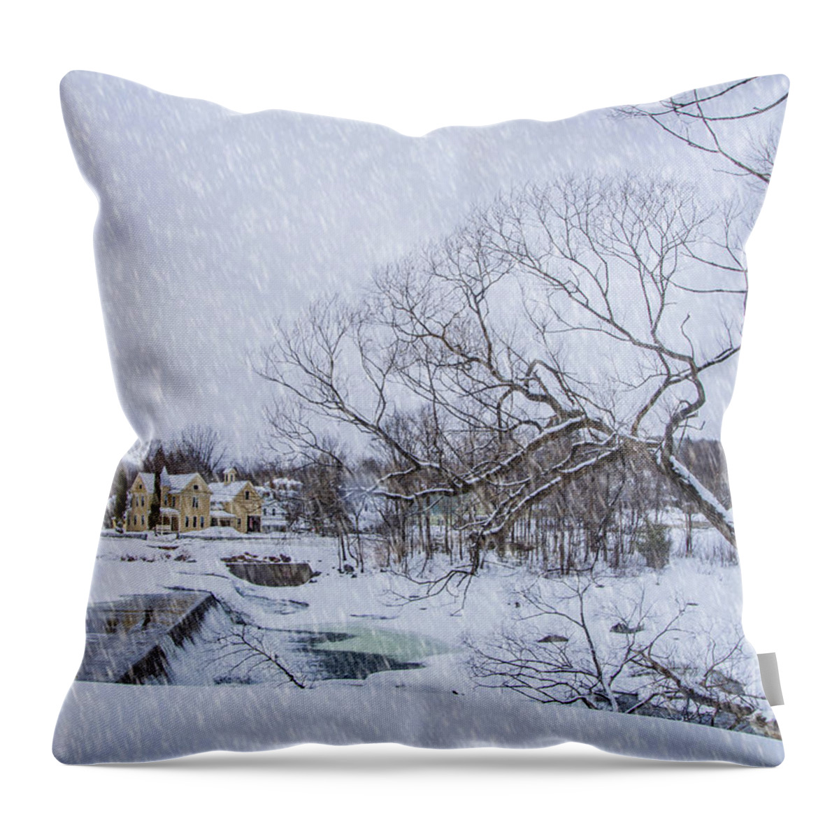 Birch Throw Pillow featuring the photograph Snowy Day #1 by Alana Ranney
