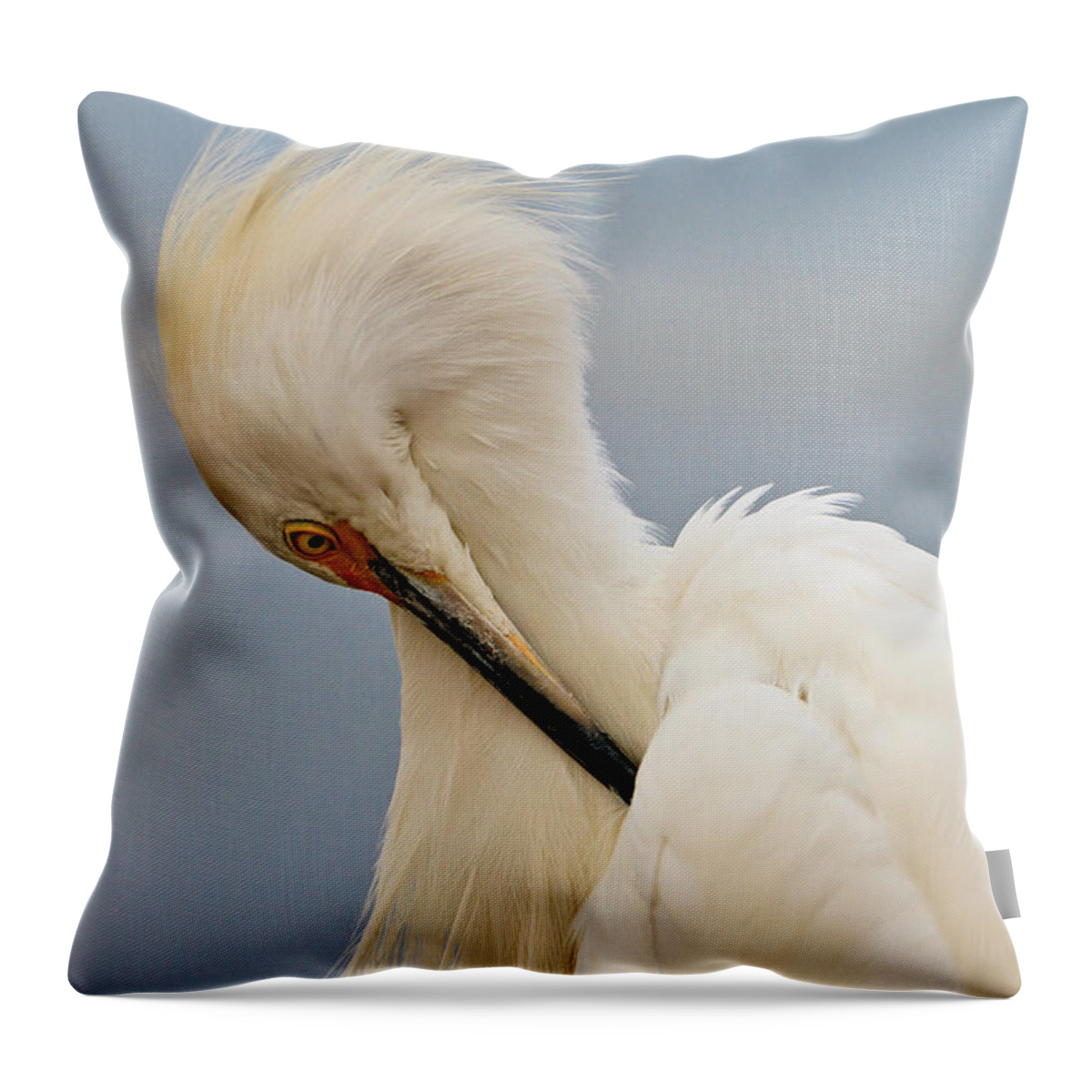 Snowy Egret Throw Pillow featuring the photograph Snowy Egret #1 by Ben Graham