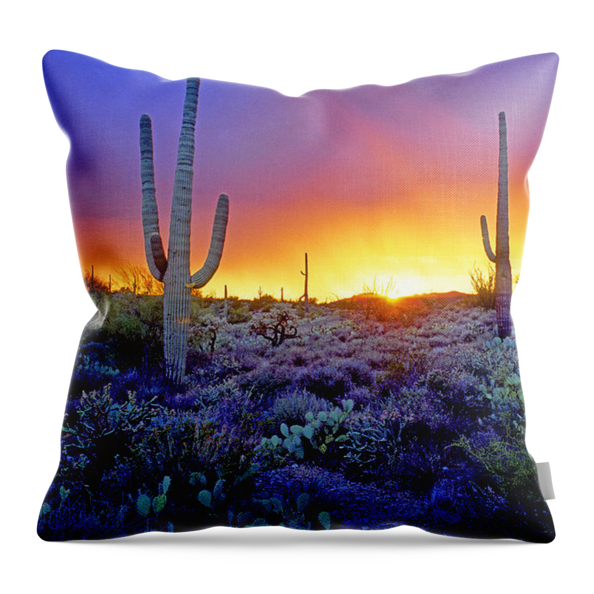 Sonoran Throw Pillow featuring the photograph Sonoran Desert At Dusk #3 by Adam Sylvester