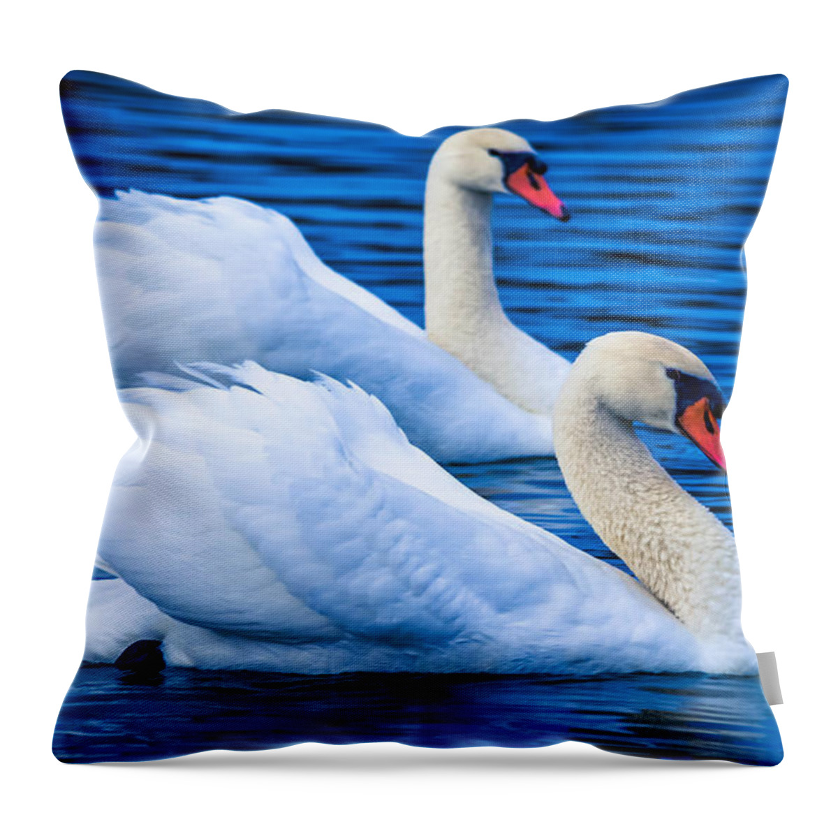 Affection Throw Pillow featuring the photograph Soulmate Swans #2 by Brian Stevens