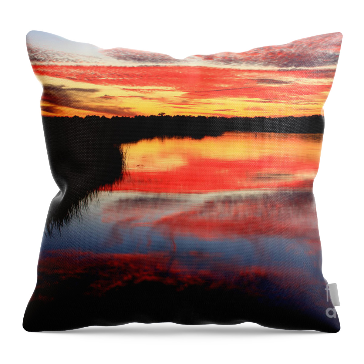 Landscapes Throw Pillow featuring the photograph Water Dreaming South Ponte Vedra Beach by John F Tsumas