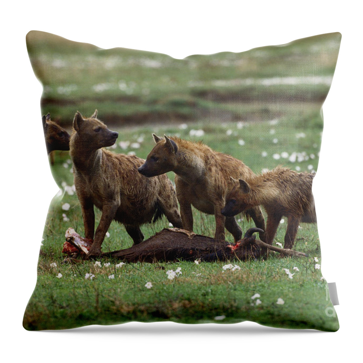 Outdoors Throw Pillow featuring the photograph Spotted Hyena #1 by Art Wolfe