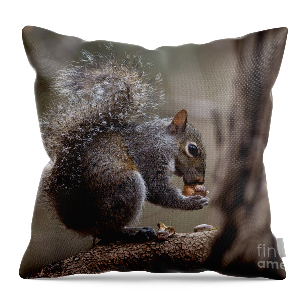 Throw Pillow featuring the photograph Squirrel II by Douglas Stucky