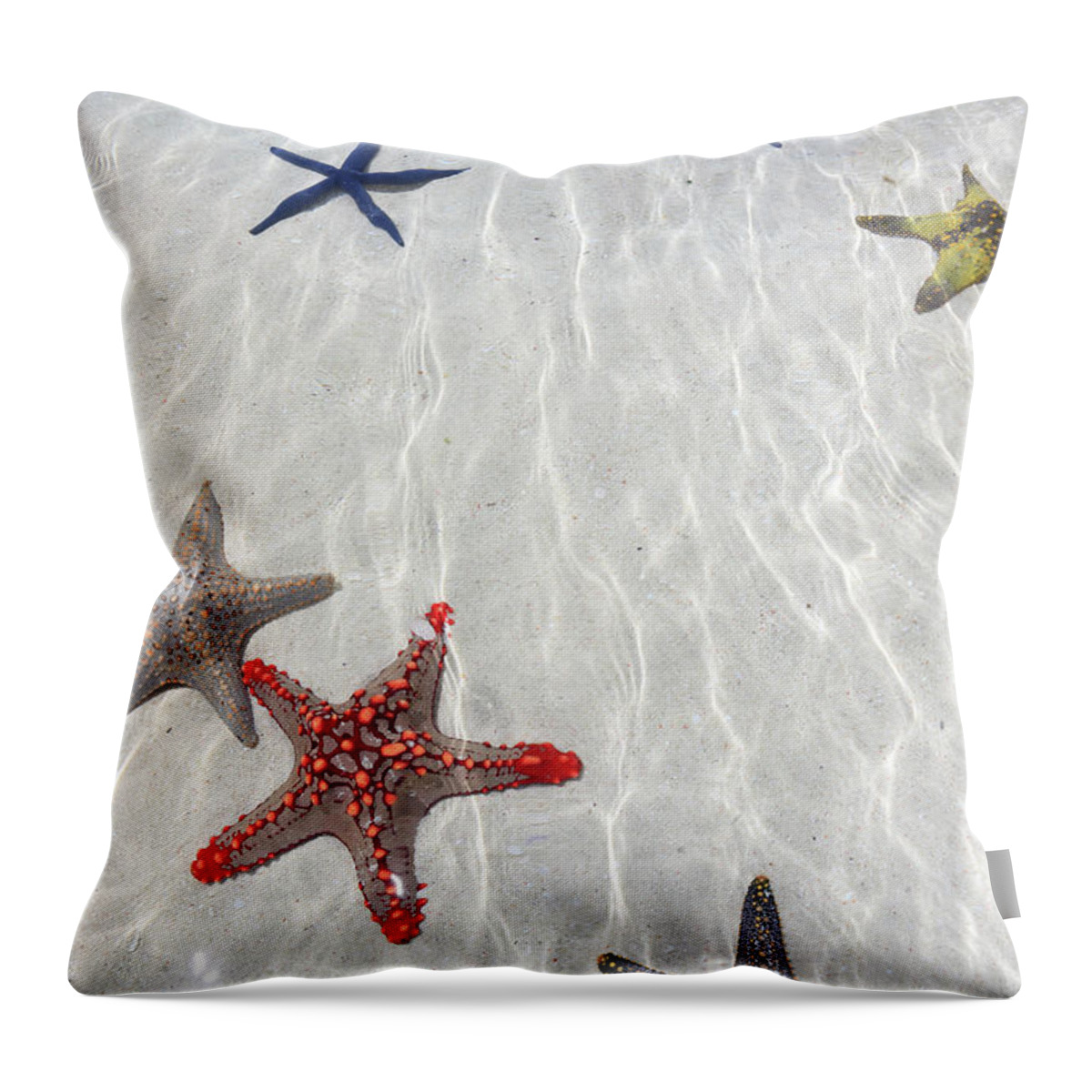Tanzania Throw Pillow featuring the photograph Starfish, Zanzibar #1 by Vincenzo Lombardo