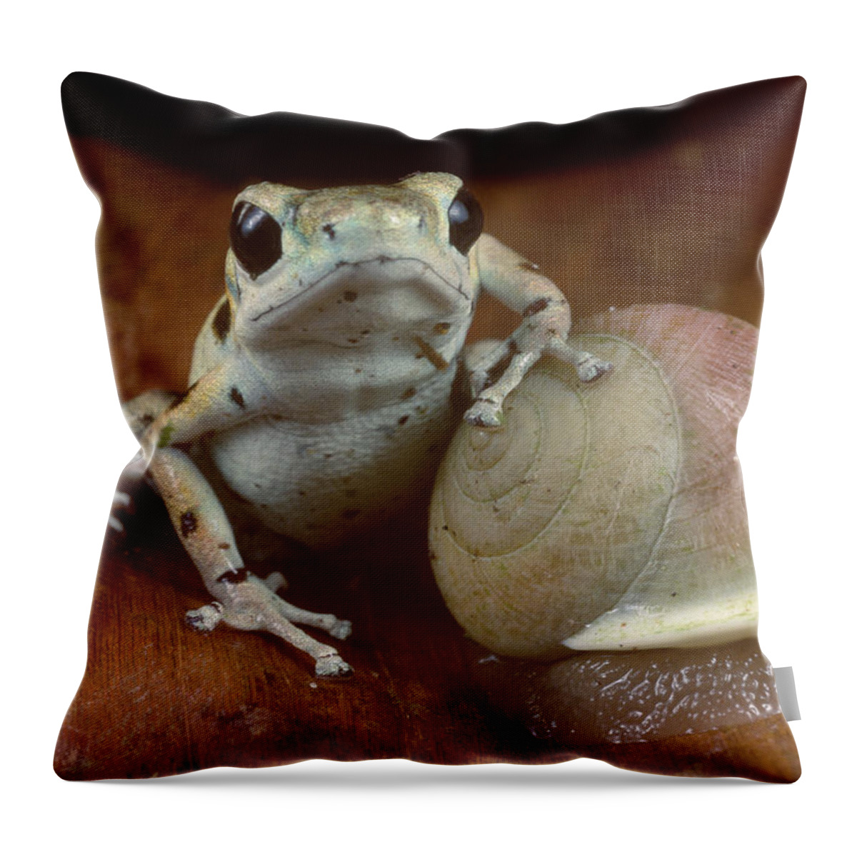 Feb0514 Throw Pillow featuring the photograph Strawberry Poison Dart Frog Resting #1 by Mark Moffett