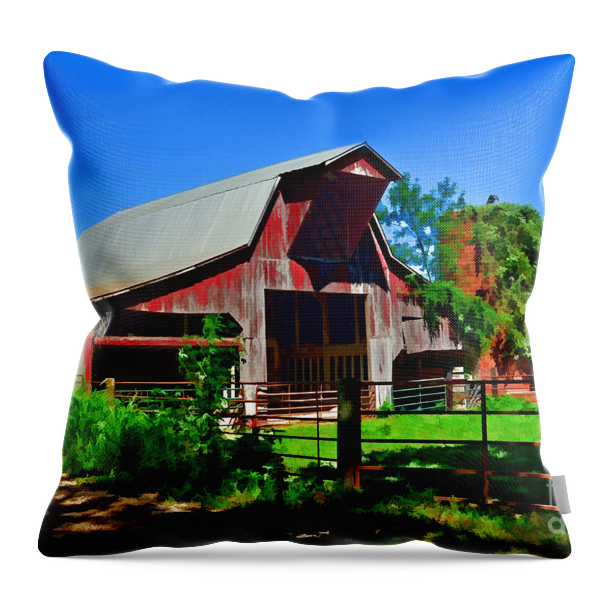 Arcitecture Throw Pillow featuring the photograph Sunny Summer Barn Digital paint #1 by Debbie Portwood