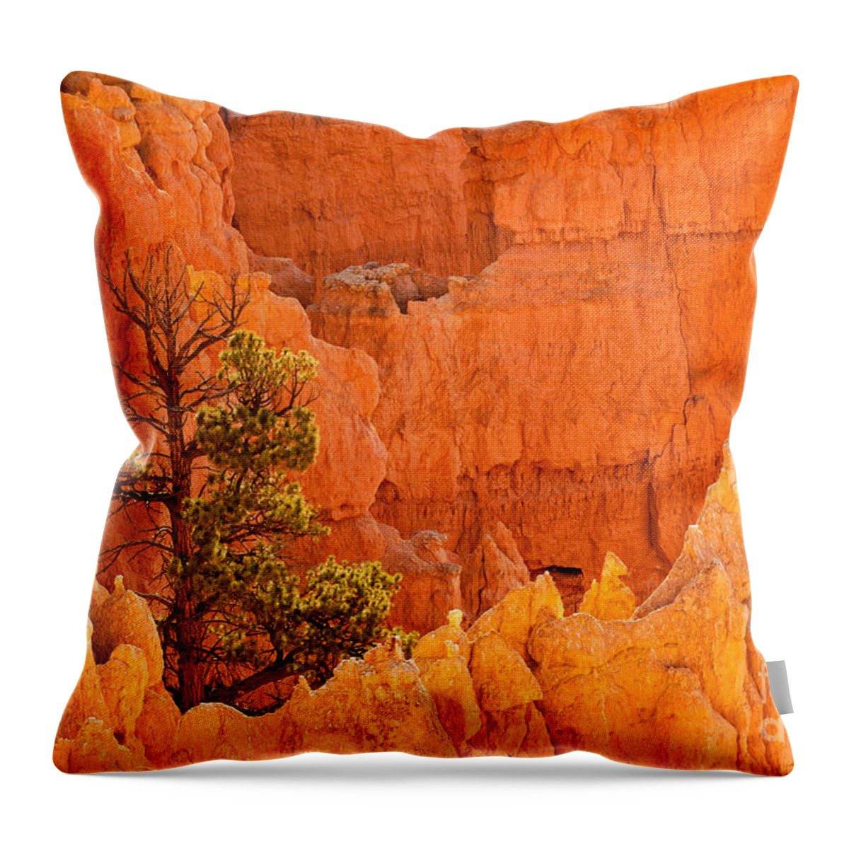 Bryce Canyon Throw Pillow featuring the photograph Sunset Point Bryce Canyon National Park #1 by Fred Stearns