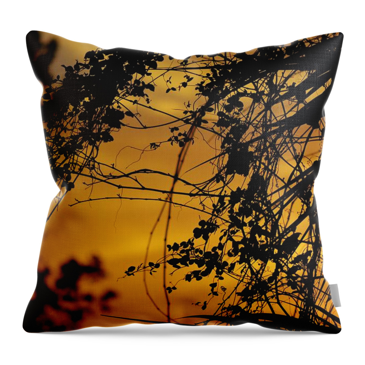 Trees Throw Pillow featuring the photograph Sunset Through the Trees #1 by Tamara Michael