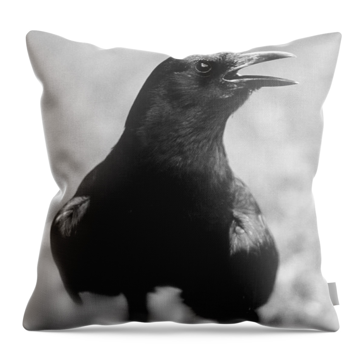 Crow Throw Pillow featuring the photograph Talking Crow #1 by John Harmon