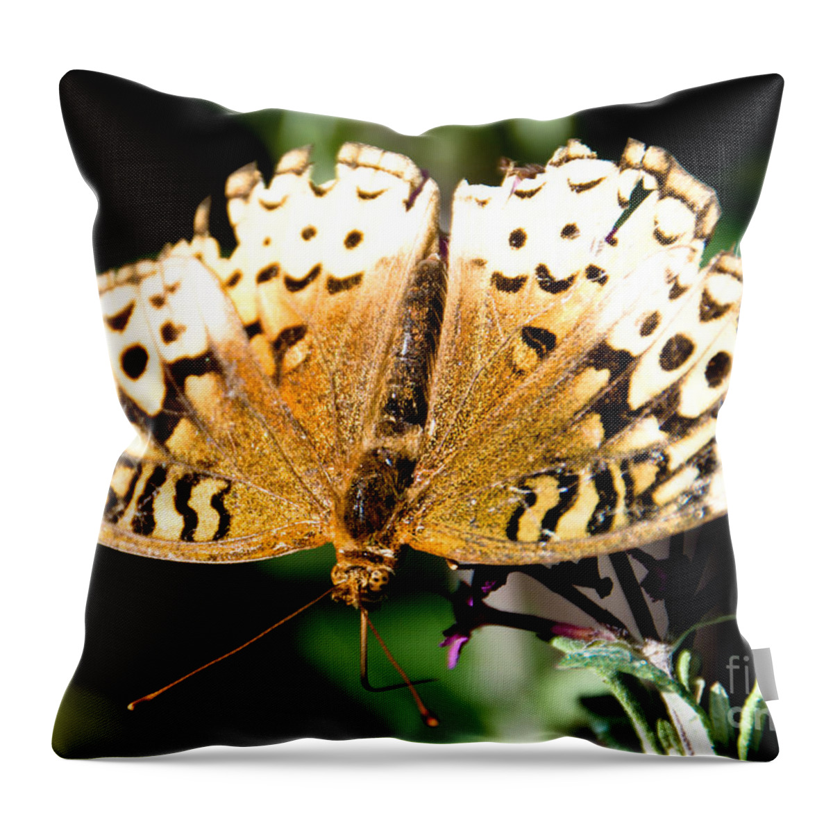  Throw Pillow featuring the photograph Tattered and Torn #1 by Cheryl Baxter
