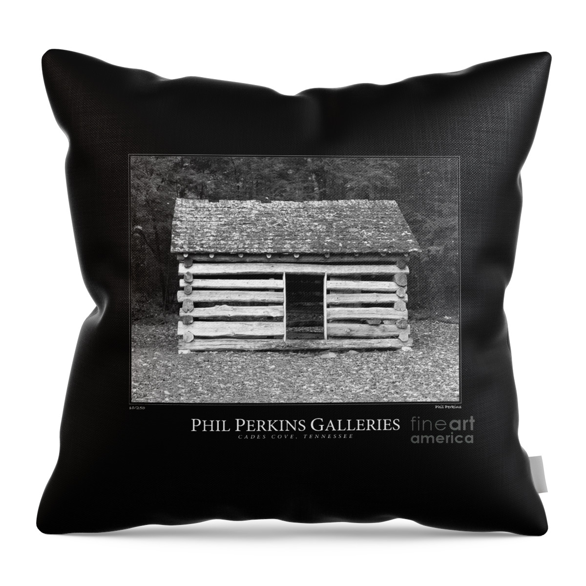 Photography Throw Pillow featuring the photograph Tennessee Wooden Structure #2 by Phil Perkins