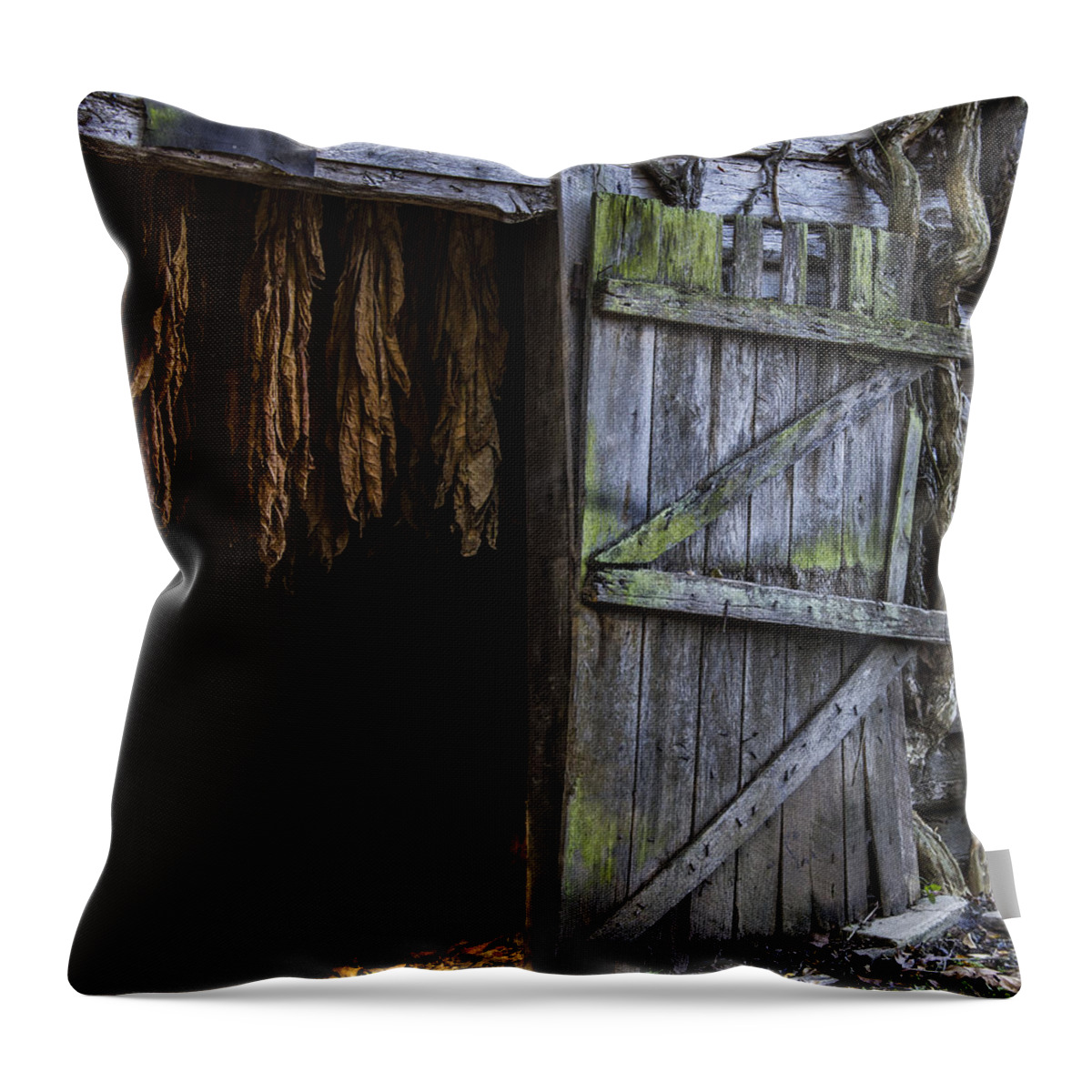 Landscape Throw Pillow featuring the photograph The Tobacco Cures by Amber Kresge