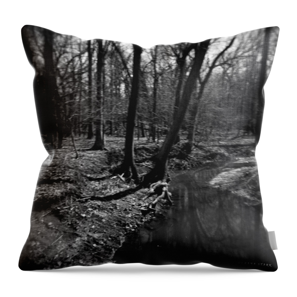 Thorn Creek Throw Pillow featuring the photograph Thorn Creek #1 by Verana Stark