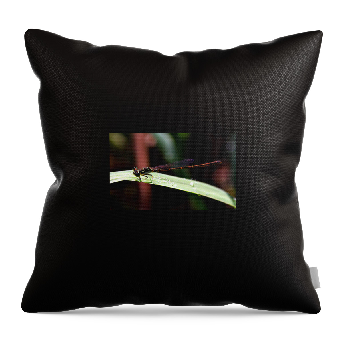 Dragon Throw Pillow featuring the photograph Tiny #1 by Reid Callaway