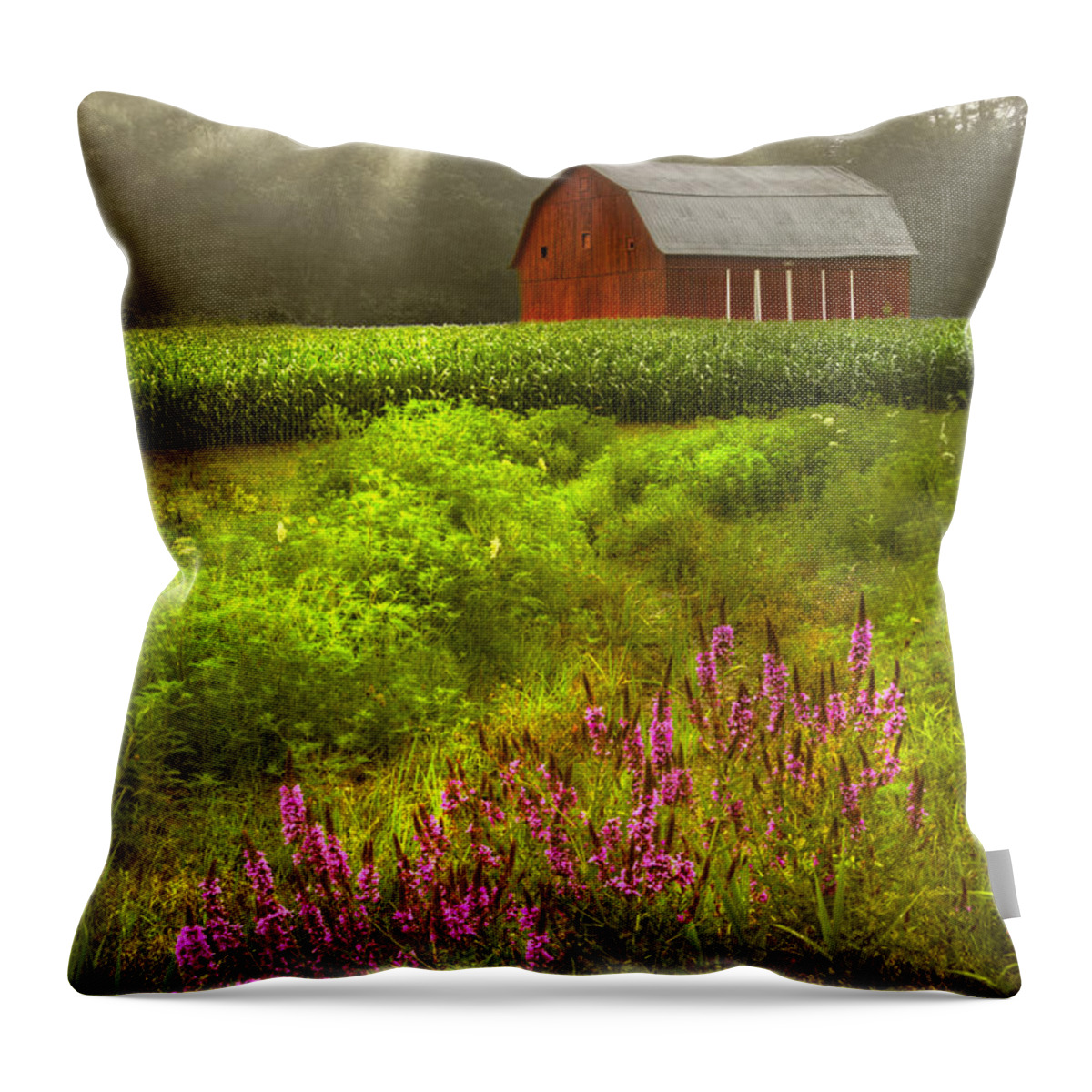 Barn Throw Pillow featuring the photograph Touched by the Sun #2 by Debra and Dave Vanderlaan