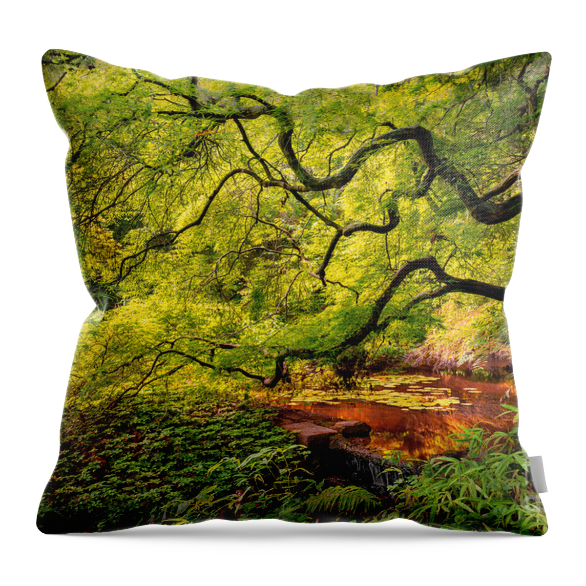  Throw Pillow featuring the photograph Tranquil Shade by Mark Rogers
