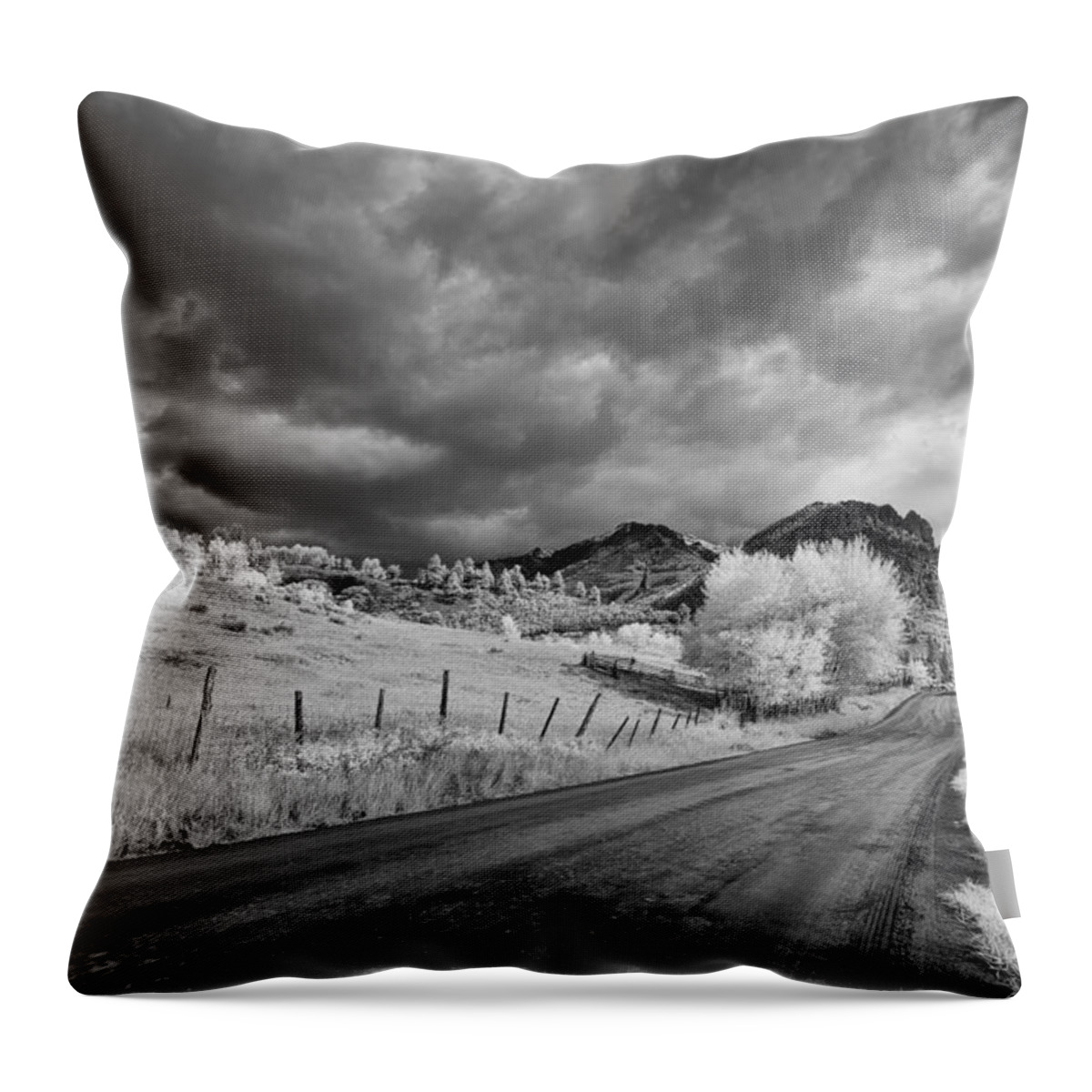 Antique Throw Pillow featuring the photograph Traveling Down #1 by Jon Glaser