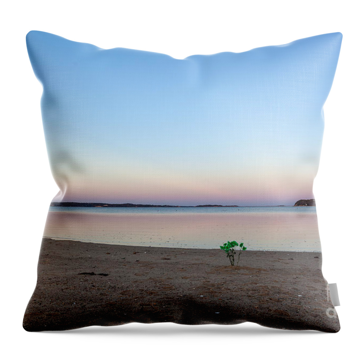 Treasured Memories Throw Pillow featuring the photograph Treasured Memories #1 by Michelle Constantine