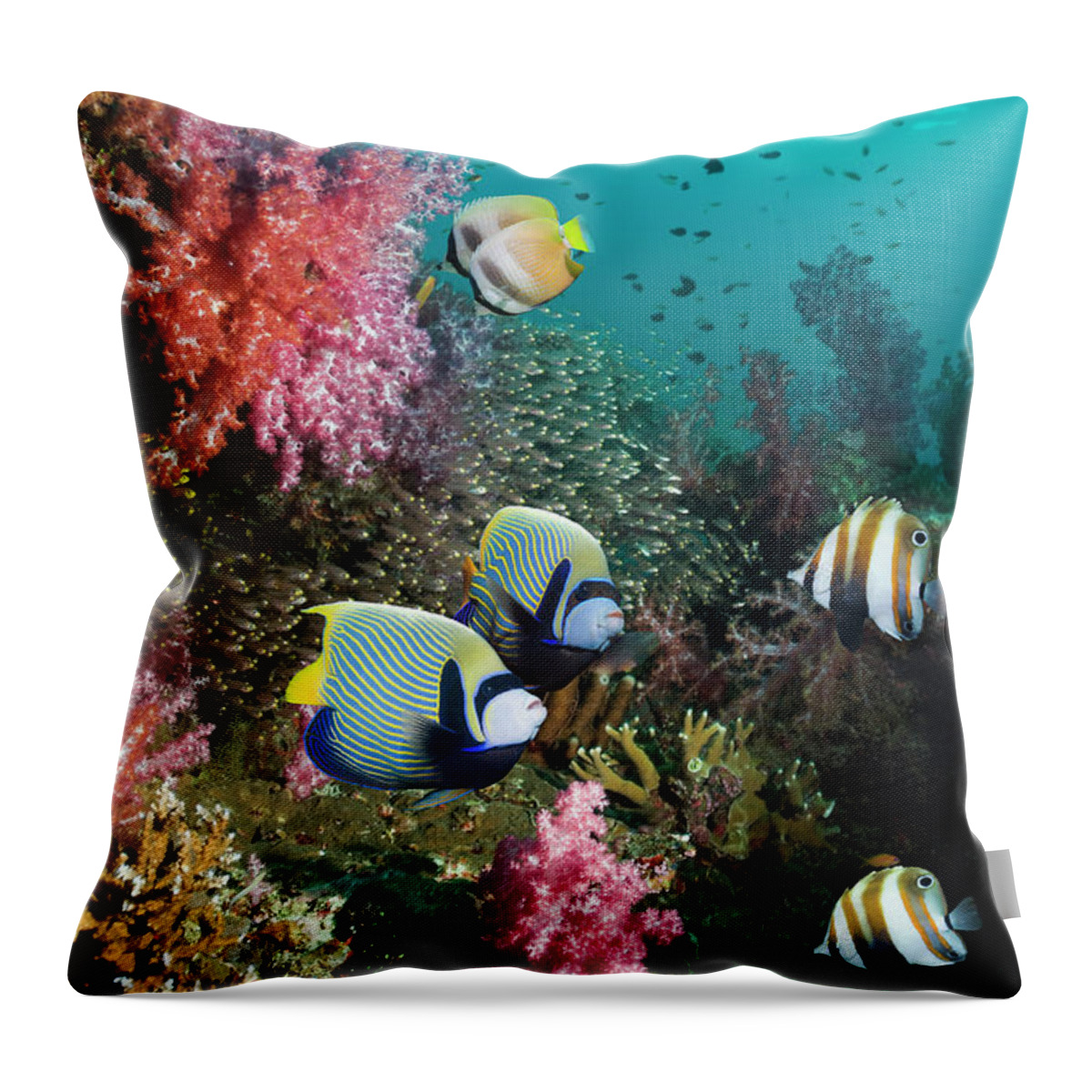 Tranquility Throw Pillow featuring the photograph Tropical Coral Reef Scenery #1 by Georgette Douwma