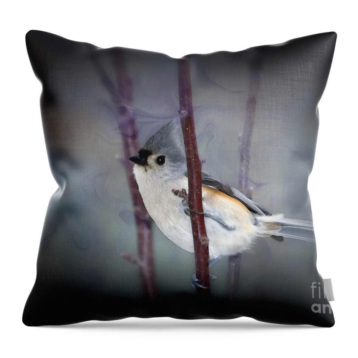 Tufted Titmouse Throw Pillow featuring the photograph Tufted Titmouse #2 by Betty LaRue