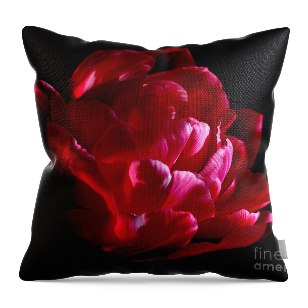 Tulipe Throw Pillow featuring the photograph Tulipe #5 by Sylvie Leandre