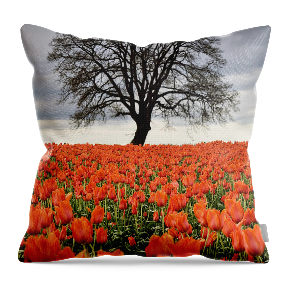 Tulips Throw Pillow featuring the photograph Tulips And Tree, Or #1 by Sean Bagshaw