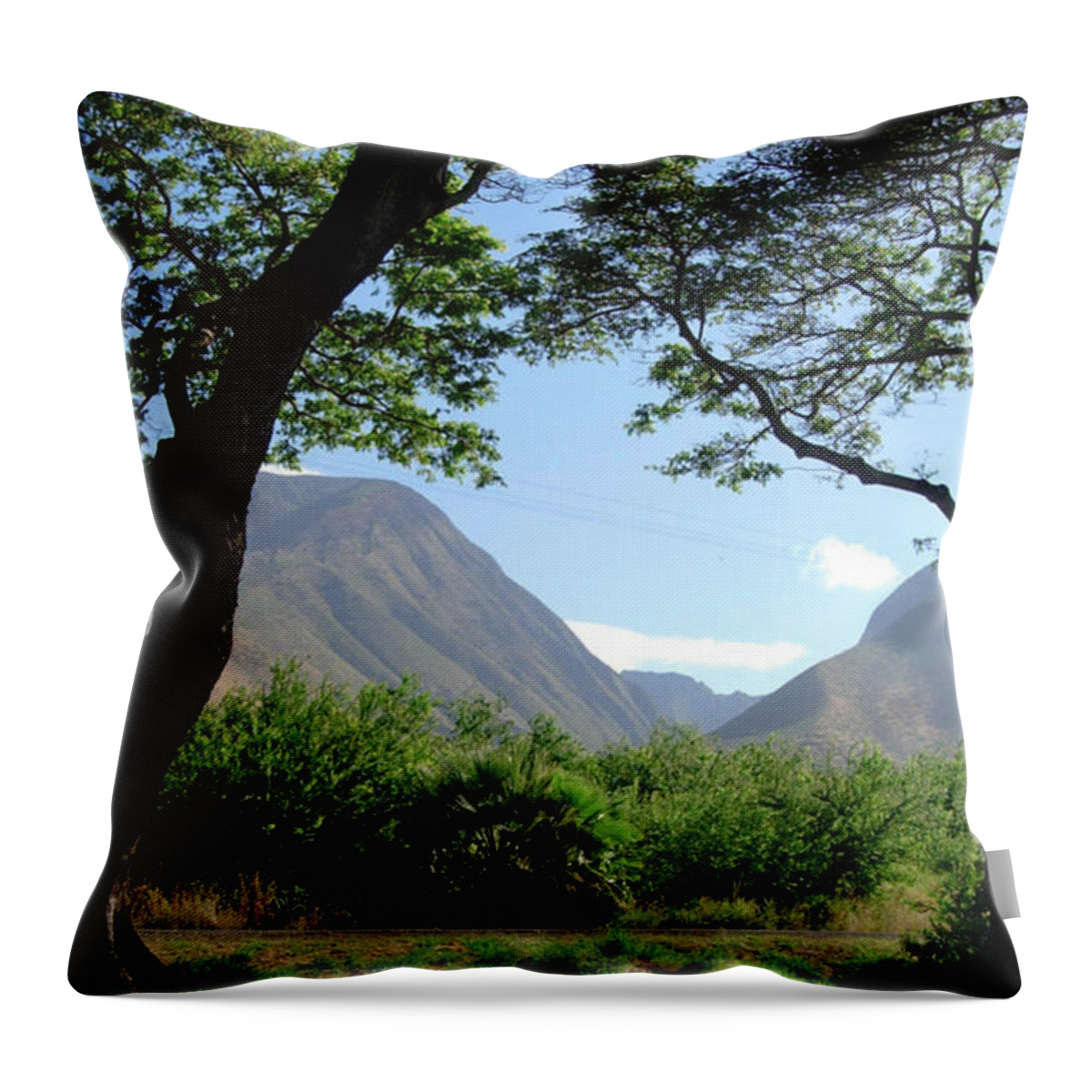 Hawaii Throw Pillow featuring the photograph Valley View by Ken Arcia