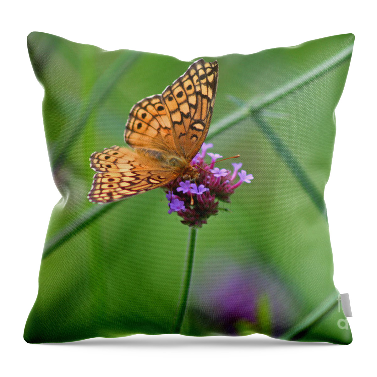 Variegated Throw Pillow featuring the photograph Variegated Fritillary Butterfly in Field #1 by Karen Adams