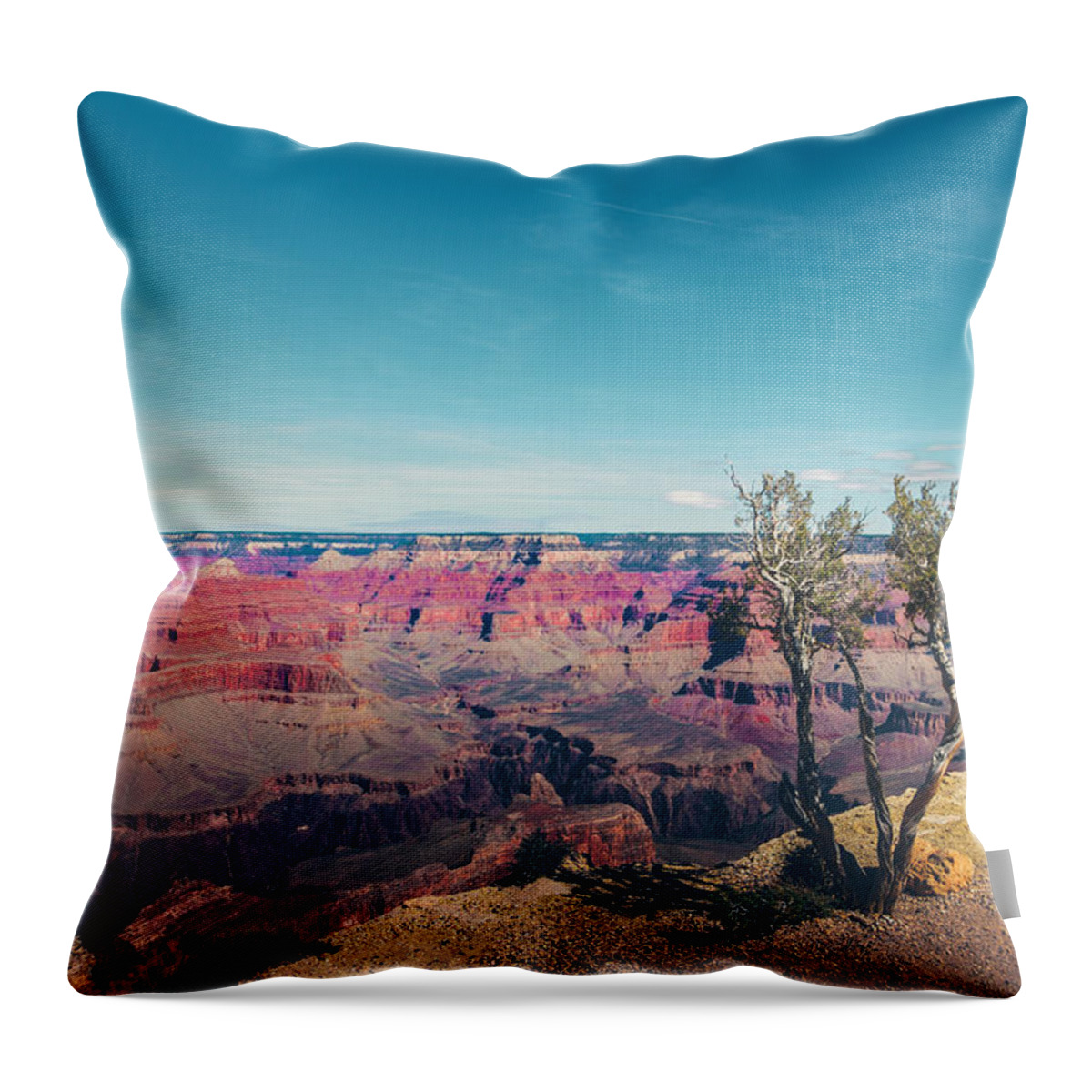 Arizona Throw Pillow featuring the photograph View of Grand Canyon #1 by Nelson Mineiro