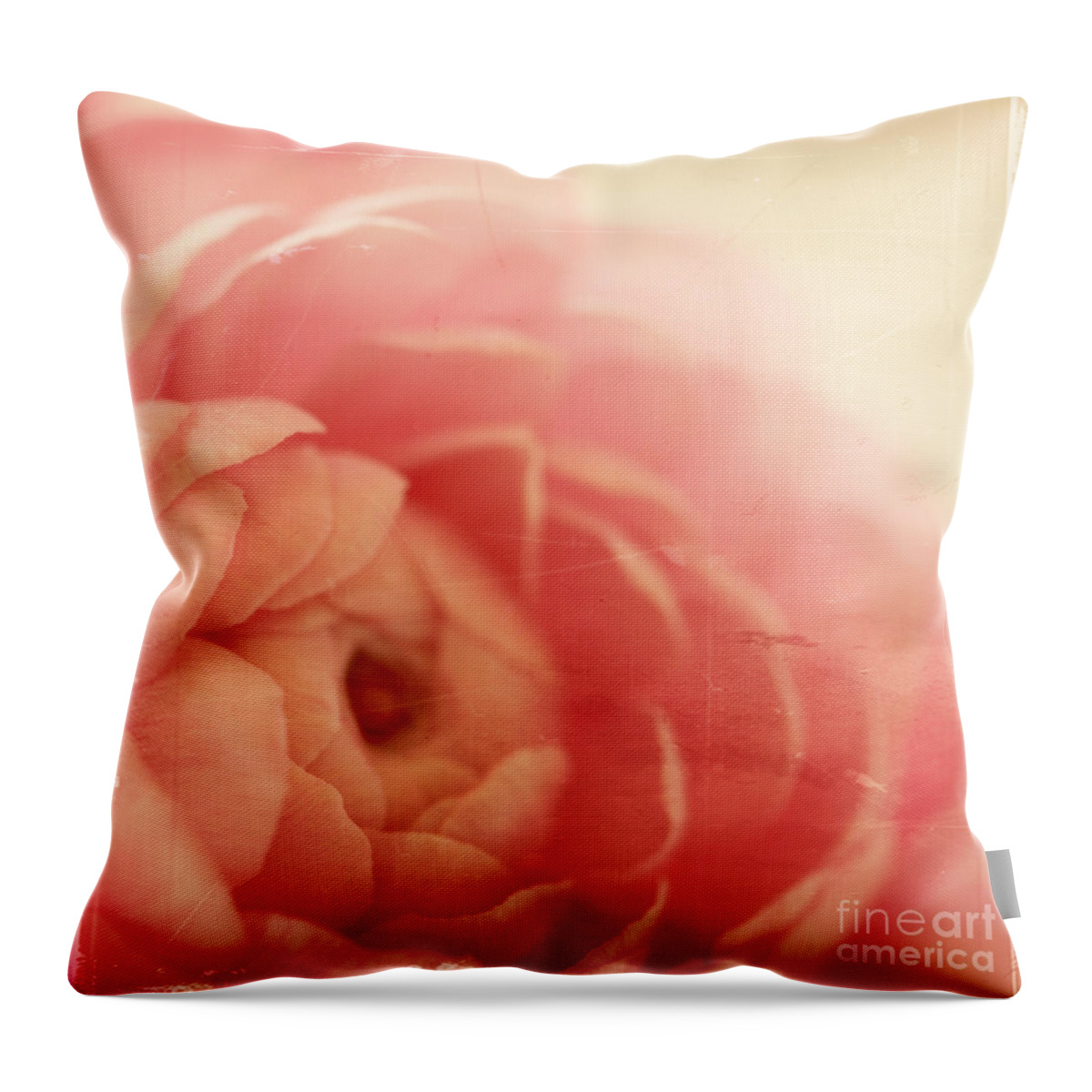 Pink Throw Pillow featuring the photograph Vintage Rose #1 by Kim Fearheiley
