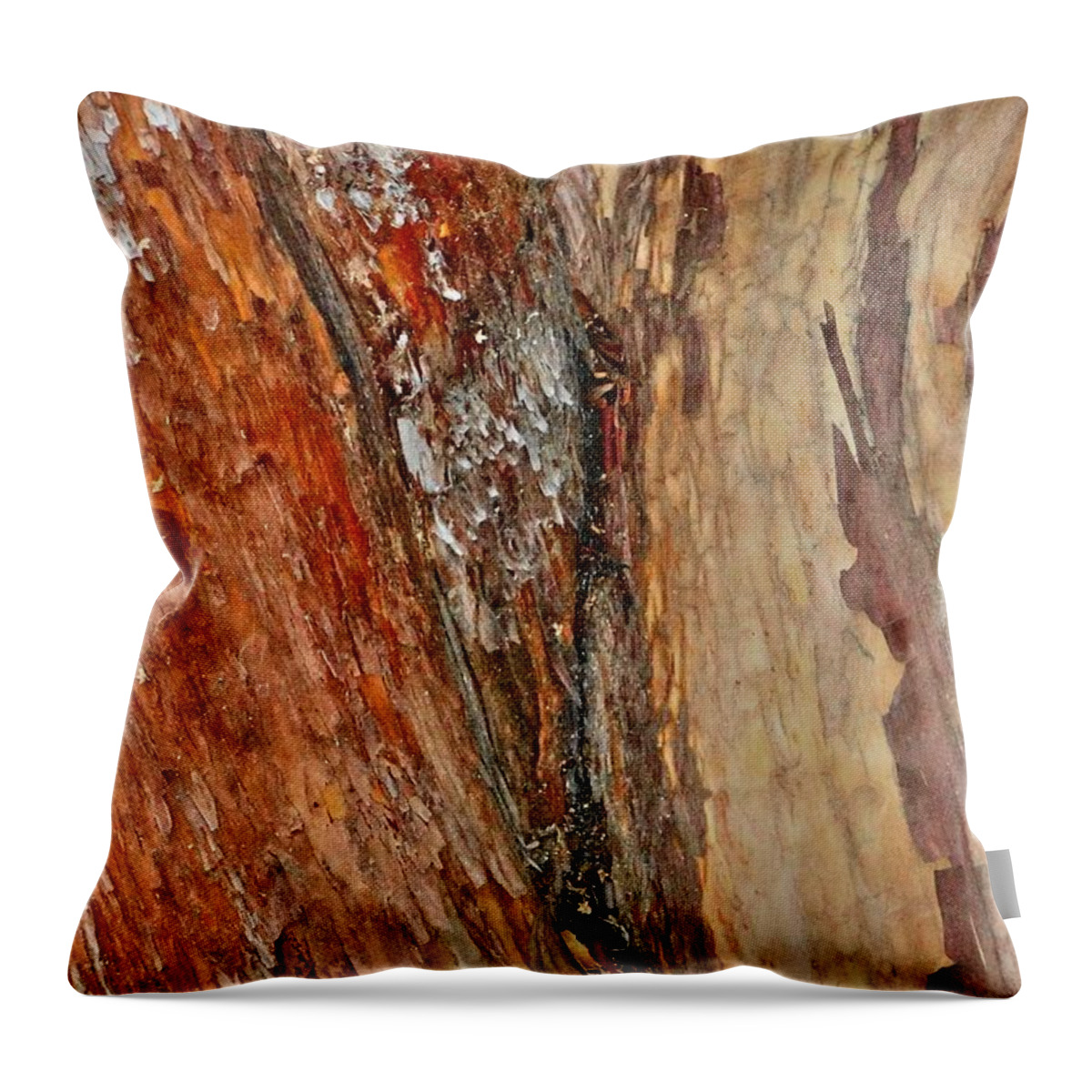 Bark Throw Pillow featuring the photograph Wealth by Nick David