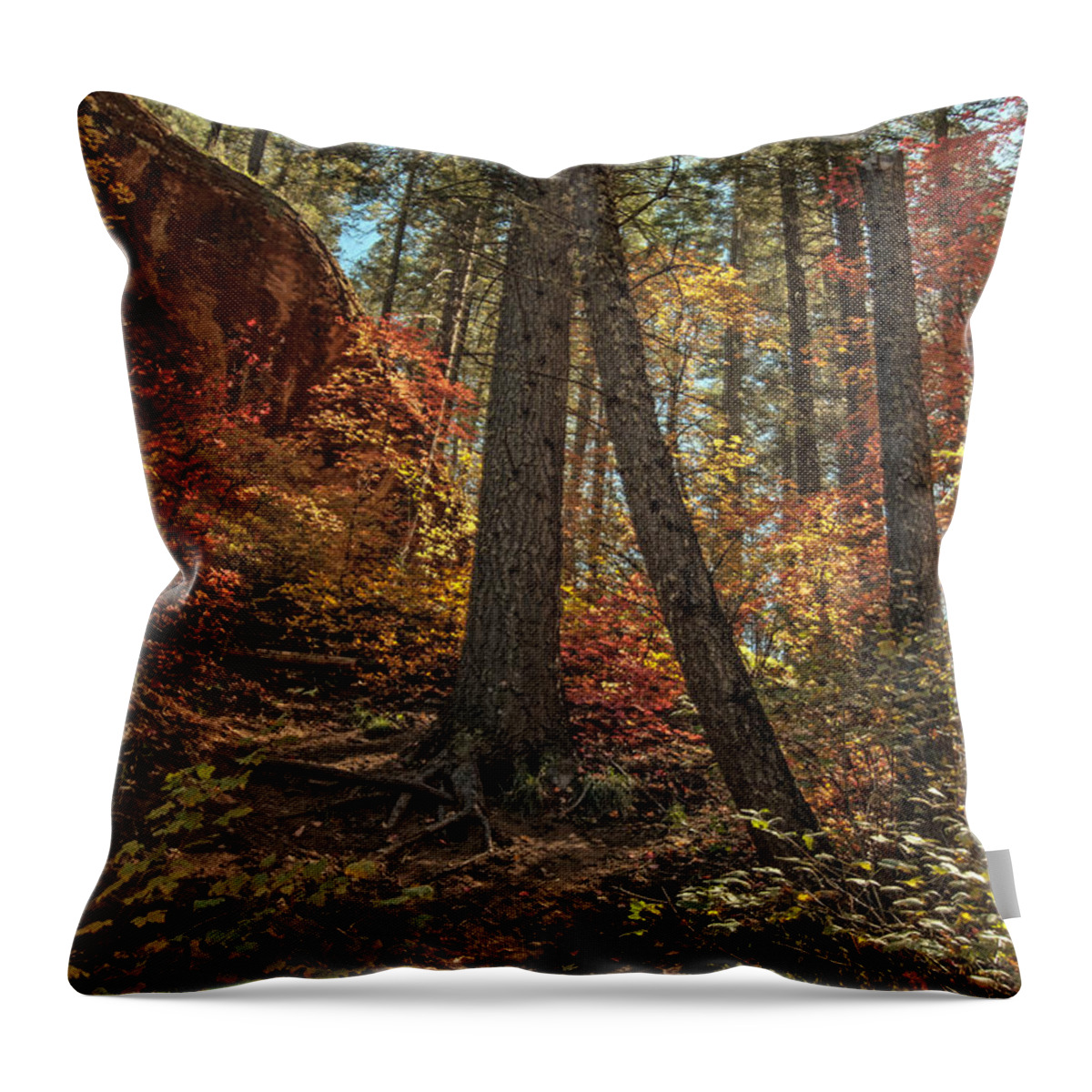 Fall Throw Pillow featuring the photograph West Fork Fall Color #7 by Tam Ryan