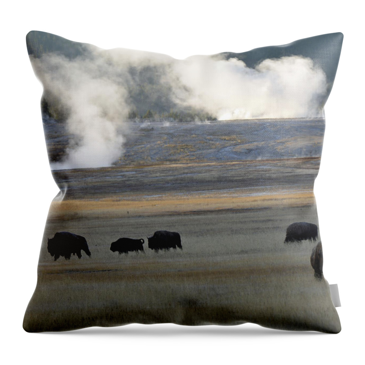 Yellowstone Throw Pillow featuring the photograph Where the Buffalo Roam by Bruce Gourley