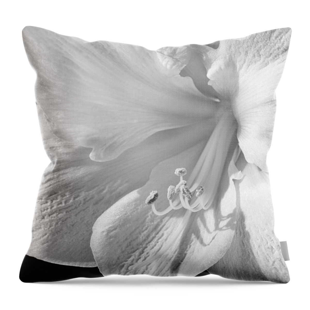 3scape Throw Pillow featuring the photograph White Amaryllis #1 by Adam Romanowicz